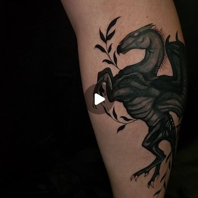 Black and grey thestral cover-up
