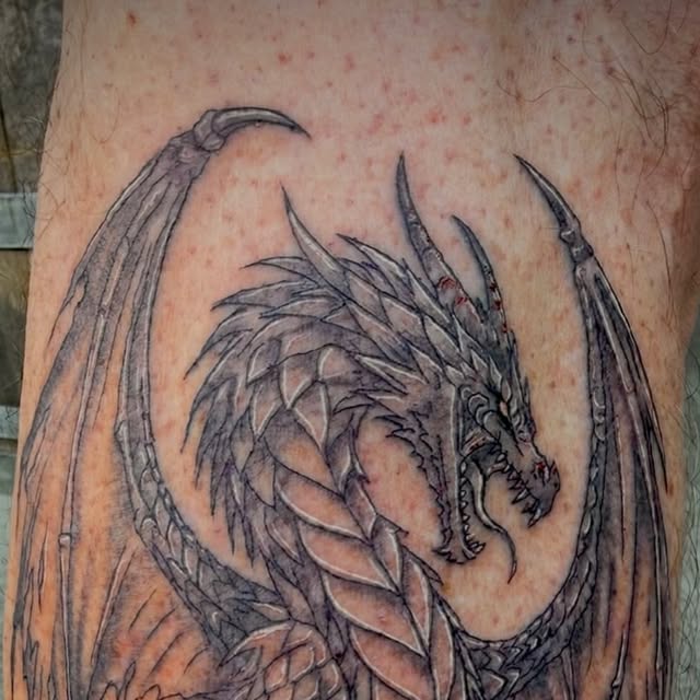 Black and grey dragon with spread wings