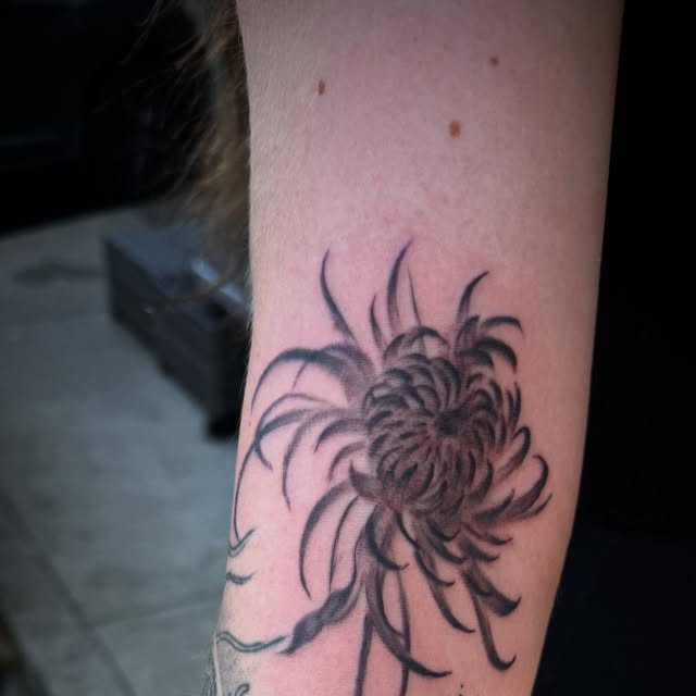 Black linework chrysanthemum