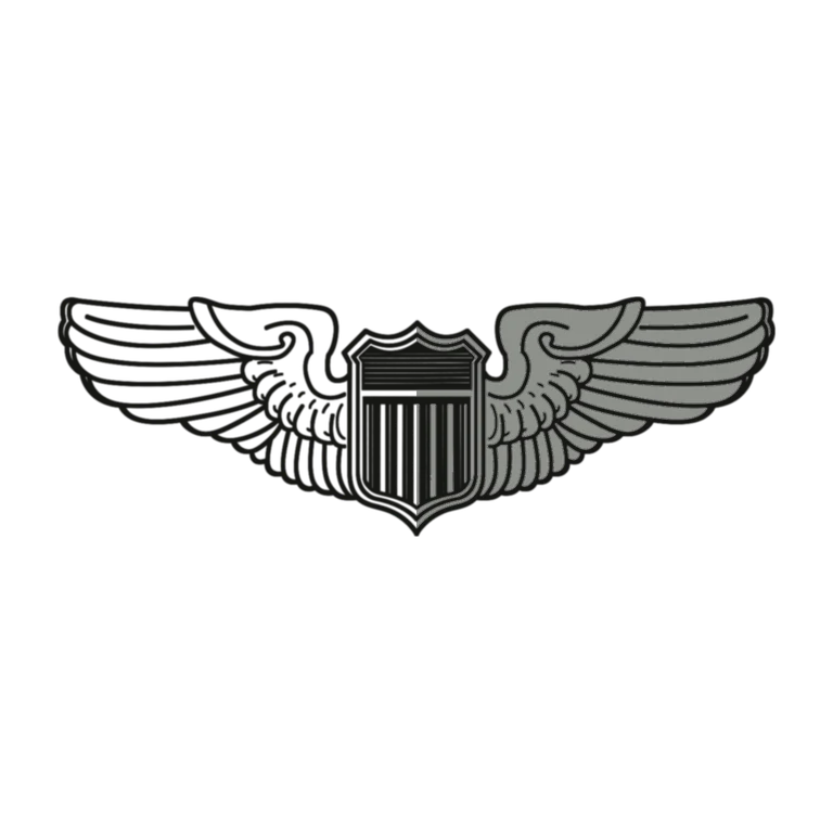 Air Force Pilot Badge: left half black line work, right half flat color