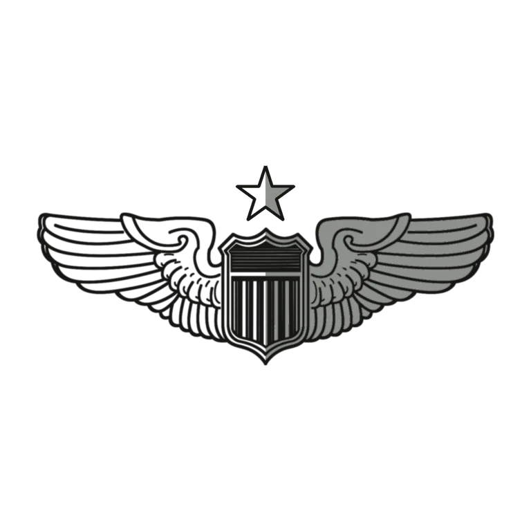 Air Force Senior Pilot Badge: left half black line work, right half flat color