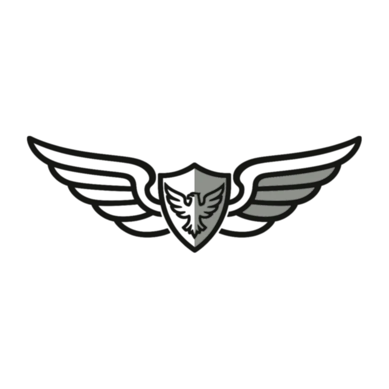 Army Aviation Badge (Aircrew): left half black line work, right half flat color