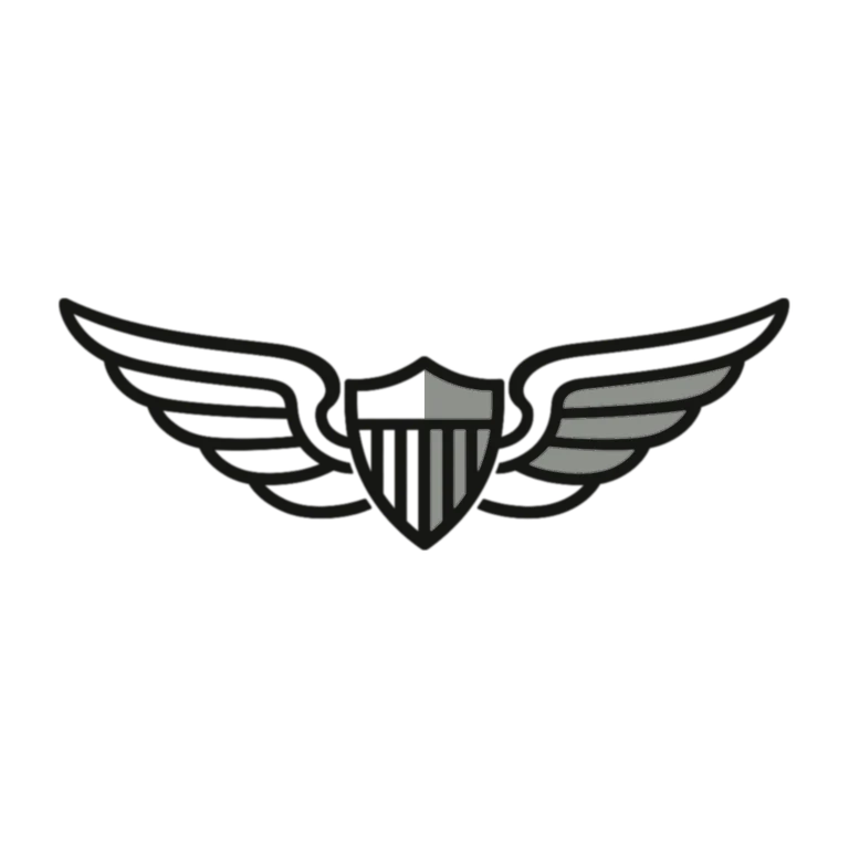 Army Army Aviator Badge: left half black line work, right half flat color