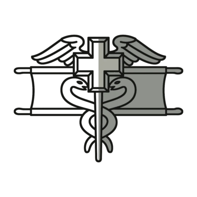 Army Expert Field Medical Badge: left half black line work, right half flat color