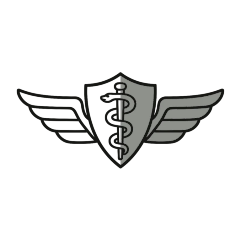 Army Flight Surgeon Badge: left half black line work, right half flat color