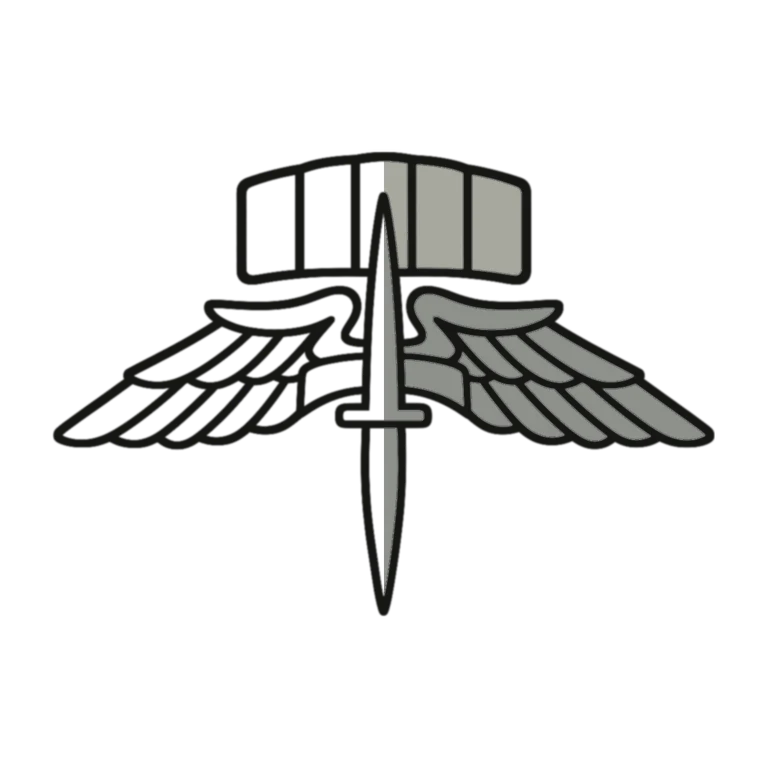 Army Military Freefall Badge: left half black line work, right half flat color