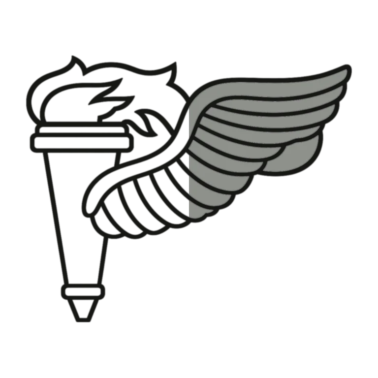 Army Pathfinder Badge: left half black line work, right half flat color