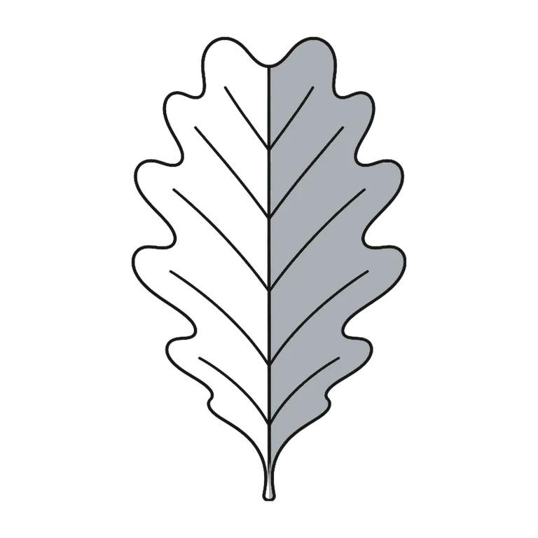 Navy Commander: left half black line work, right half flat color