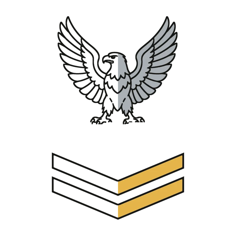 Navy Petty Officer 2nd Class: left half black line work, right half flat color