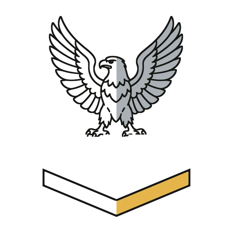 Navy Petty Officer 3rd Class: left half black line work, right half flat color