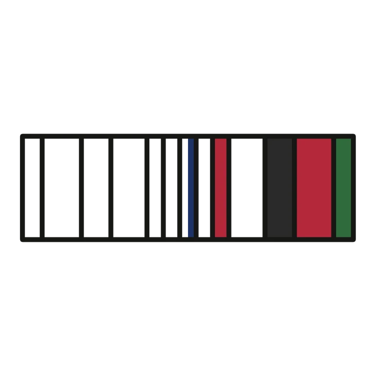 Afghanistan Campaign Ribbon: left half black line work, right half flat color