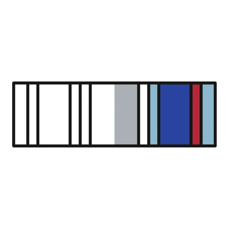 Air Force Air and Space Campaign Ribbon: left half black line work, right half flat color