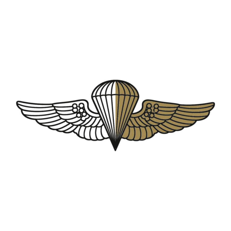 Marines Gold Parachutist Wings: left half black line work, right half flat color